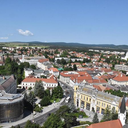 Panorama View Family Apartment Veszprém Buitenkant foto