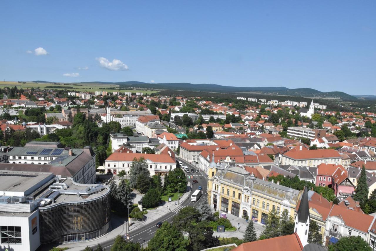 Panorama View Family Apartment Veszprém Buitenkant foto